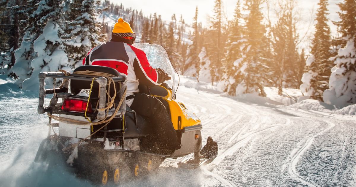 A Man In A Red White And Black Snowmobile Suit On A Yellow Snowmobile, Going Down A Trail Past Snow-Capped Pine Trees On A Sunny Morning