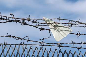 paper plane caugh in barbed wire fence