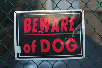 Beward of dog sign
