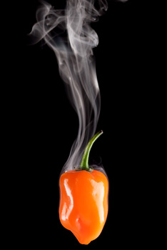 smoking hot pepper