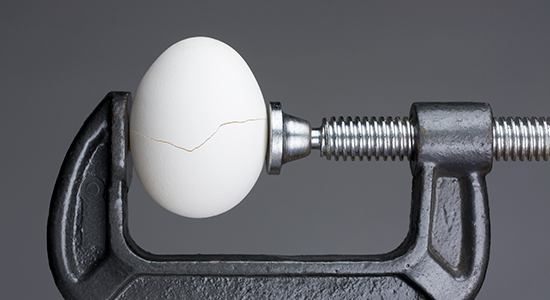 egg in a vice