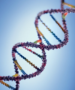 Wisconsin, U.S. Supreme Court Will Consider DNA at Arrest Law