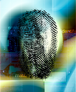 Forensic evidence: Do criminal lawyers need   science training on principles and methods?