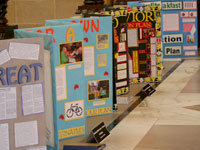 Project Citizen Displays
