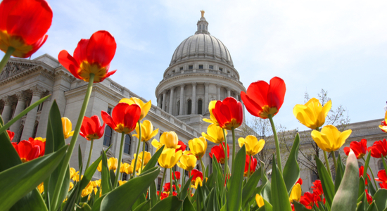 Wisconsin Capitol in Spring
