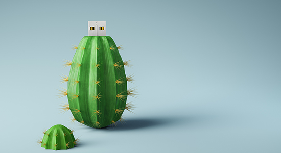 cactus-shaped flash drive