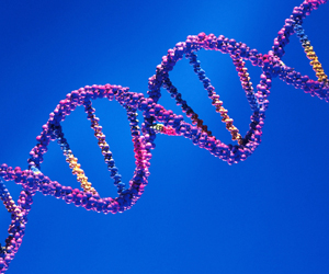 Wisconsin appeals court downs   defendant’s   challenge to DNA surcharge