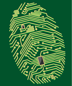 Are You at Risk for Cyber Attacks? Or Can You Snag the Phish Before the Phish Snags You