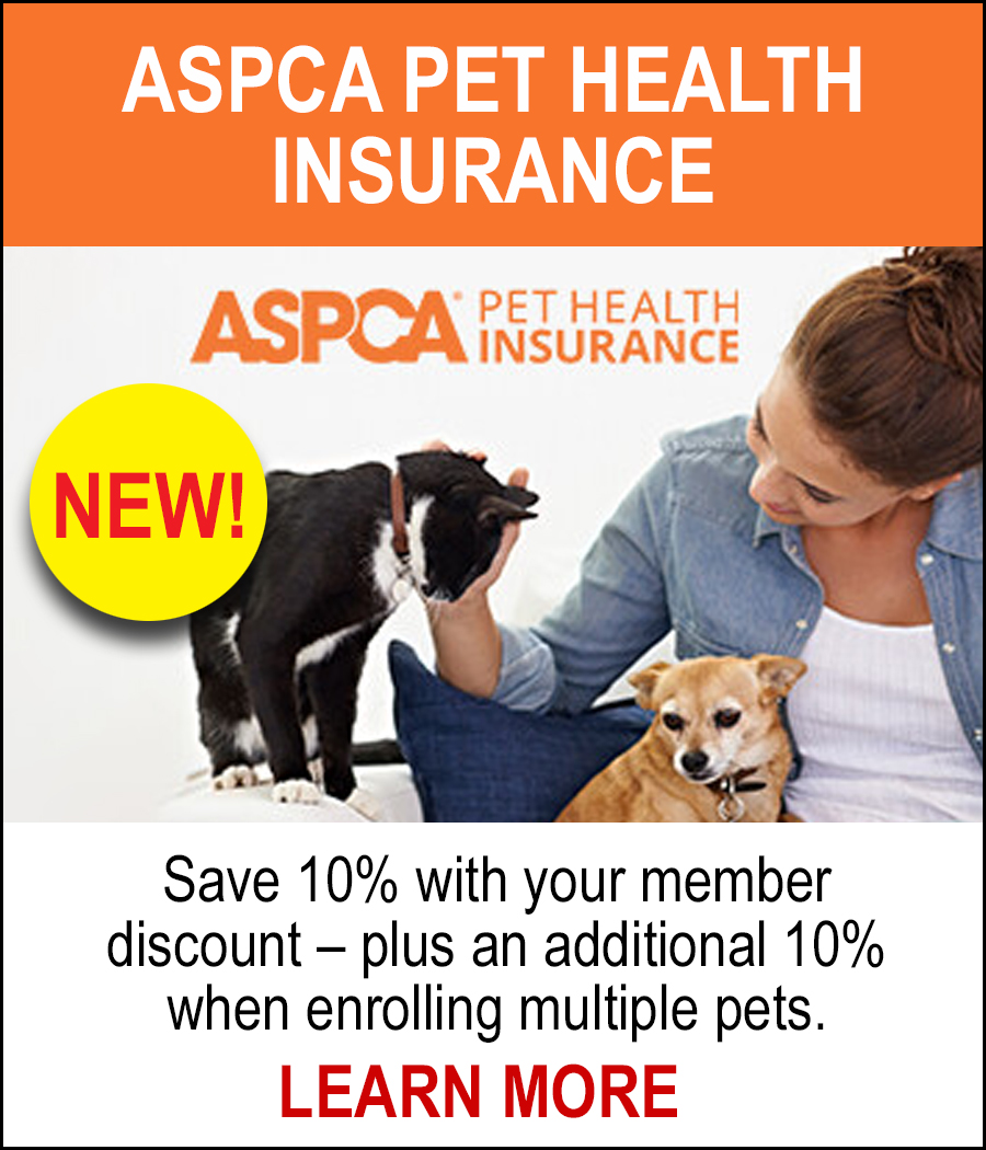 NEW ASPCA Pet Health Insurance - Save 10% with your member discount - plus an additional 10% when enrolling multiple pets. LEARN MORE