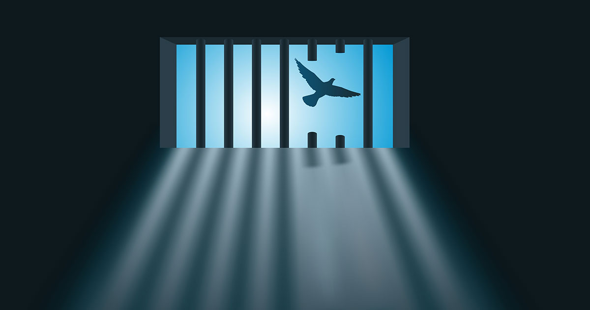 bird flying from prison cell