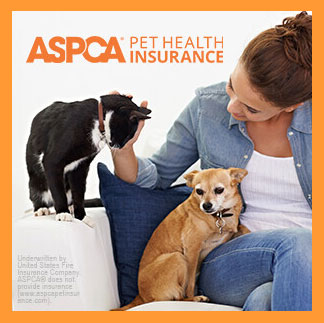 Pet Insurance logo
