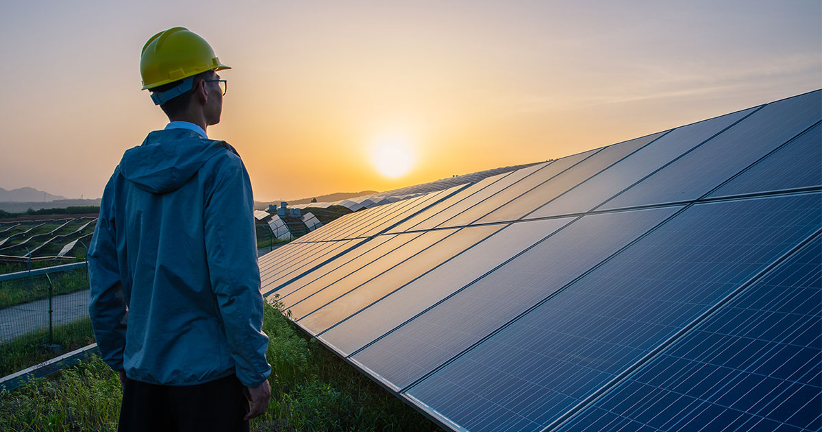 solar panel plant