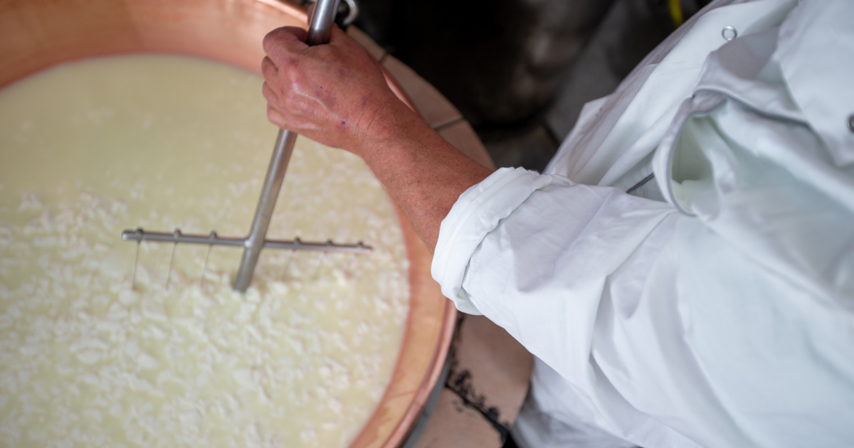 A Medium Close Up Overhead View Of A Man In A White Coat Stirring Curds And Whey In A Copper Vat