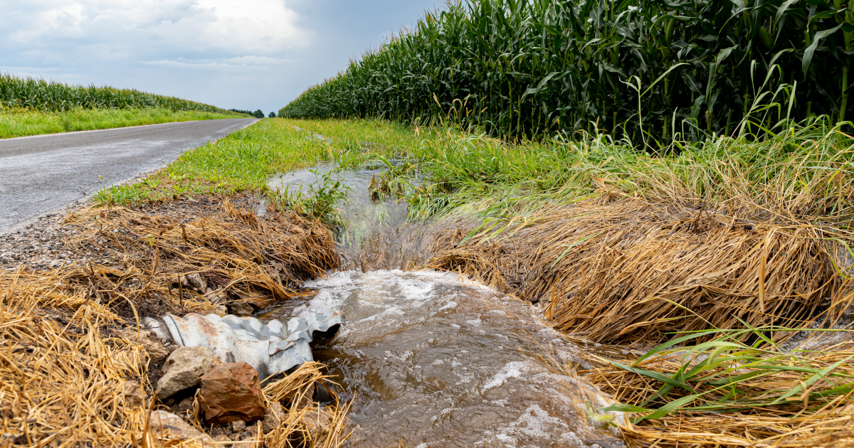 Muddy Water FLooding A Ditch With An Exposed Culvert In The Background