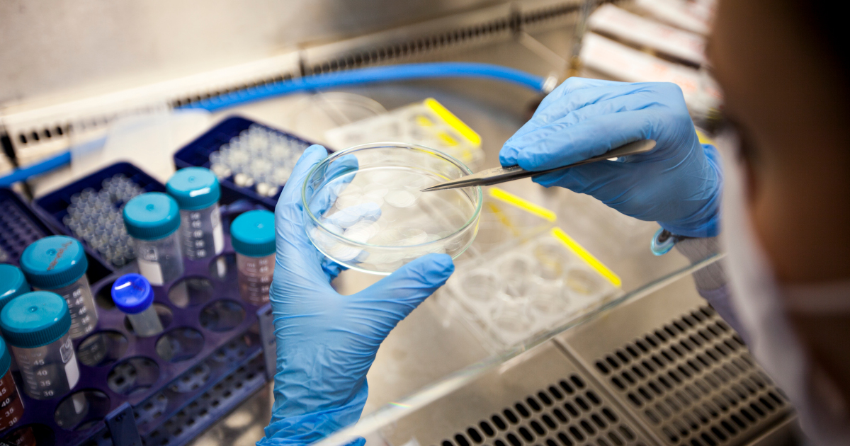 A Woman In A White Lab Coat And Wearing A Surgical Mask And Gloves Use A Tweezers To Lift Something Out Of A Petri Dish,