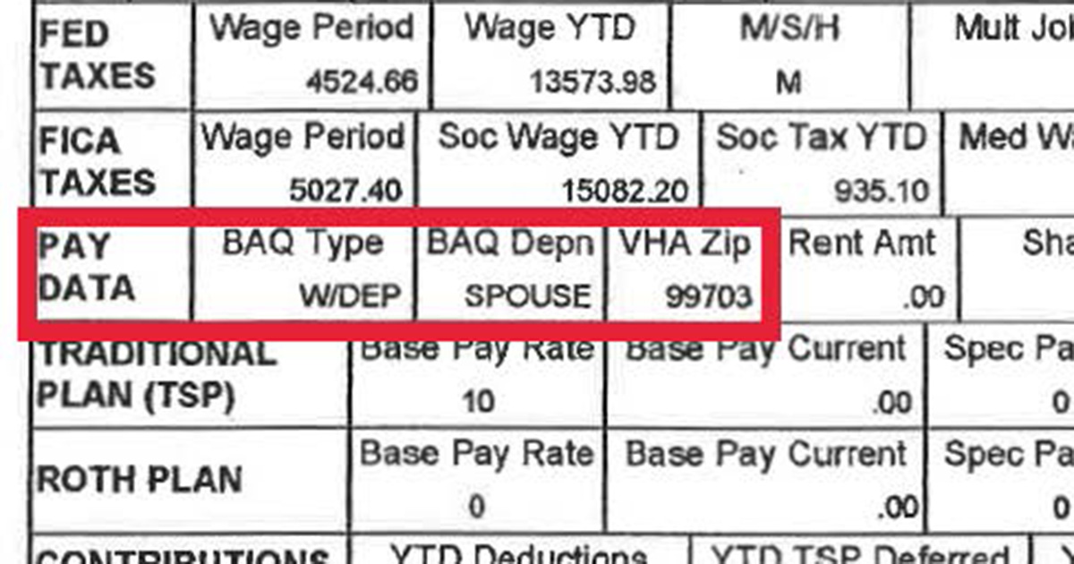 Figure 3 shows Pay Data listing BAQ Typle and the VHA ZIP code