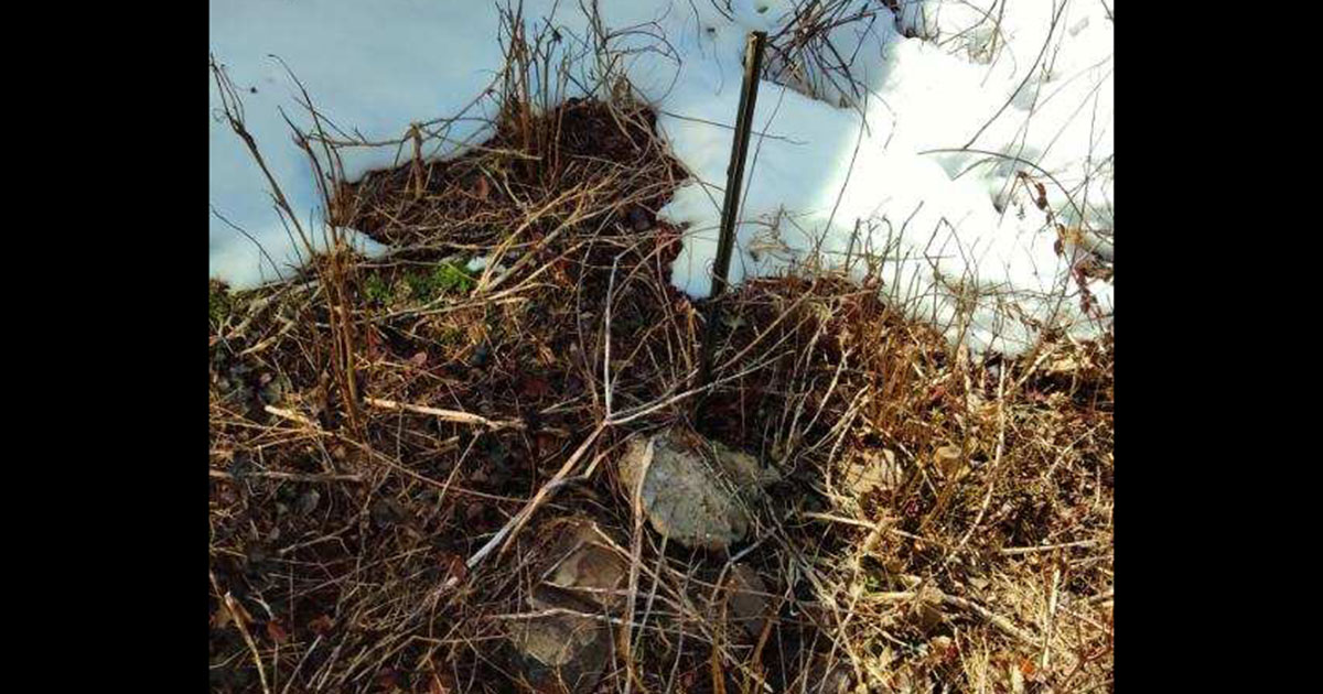 a metal stick that leans and is stuck into the ground