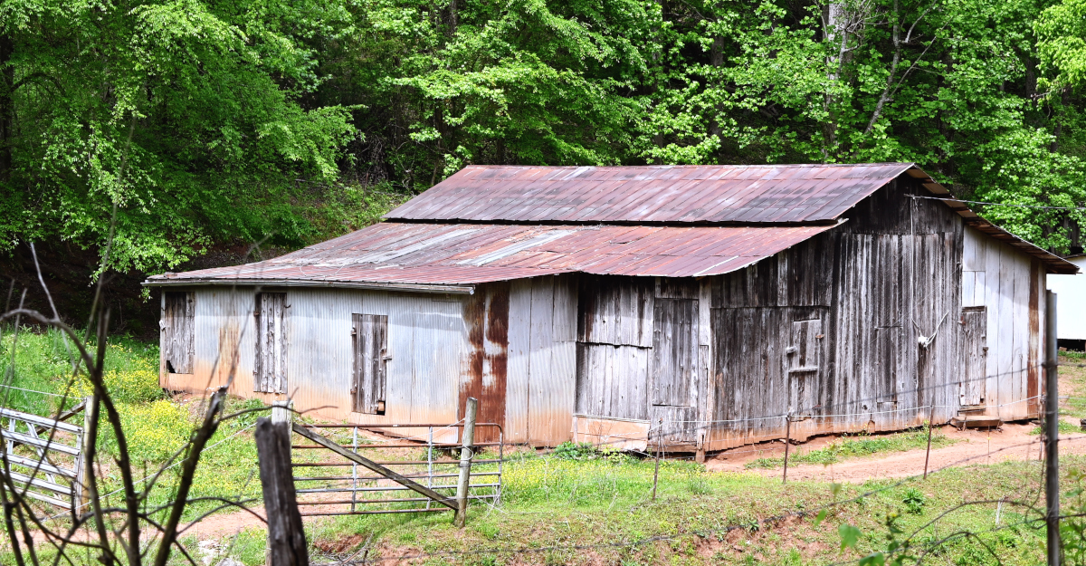 A Low-roofed Wooden Barn, With Pine Trees In The Background