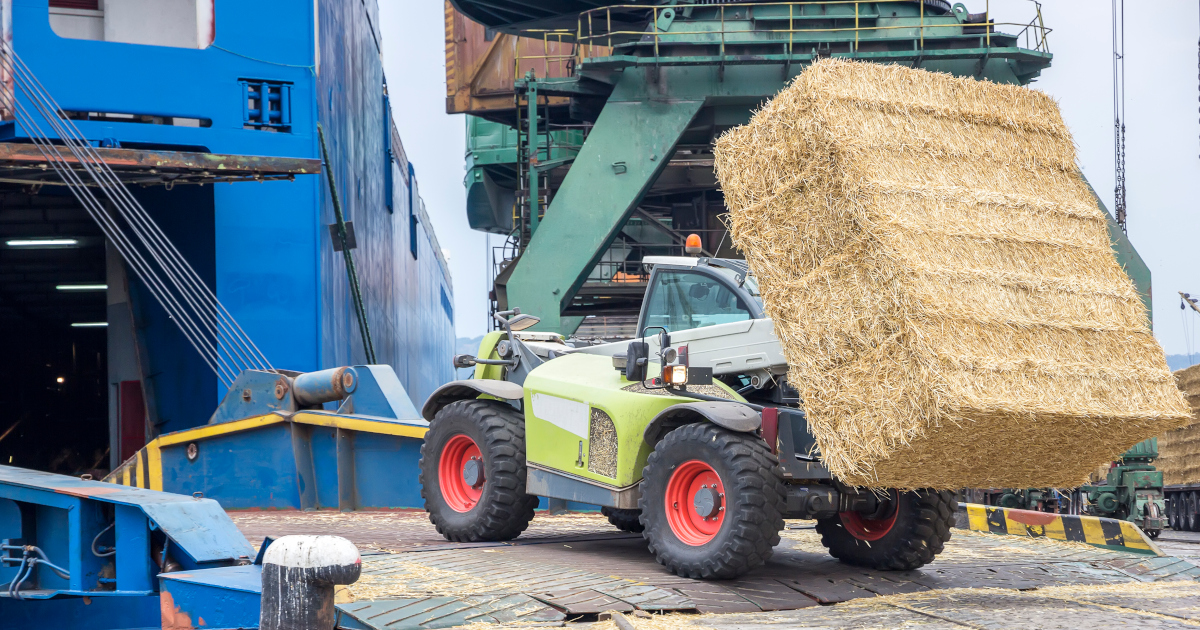 A Telehandler, A Four-Wheeled Tractor With Long Arms and A Forklift On Front, Hauls A Large Bale of Hay From The Hold Of A  Cargo Ship