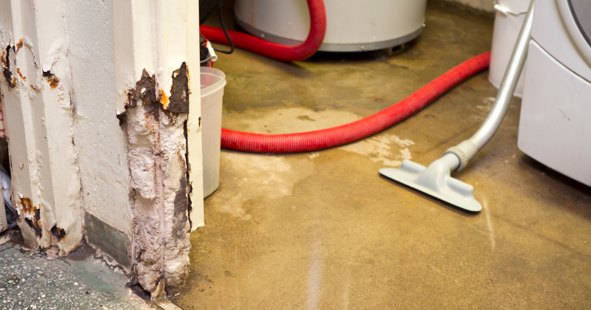 Seen From Left To Right, A White Metal and Concrete Door Way Pocked And Rusting Away At The Bottom, Rising From A Basement Floor Slick With A Puddle, And A Industrial Vacuum With A Red Hose