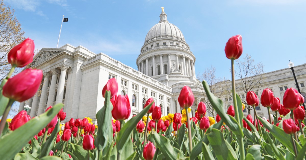 Wisconsin Capitol in spring with blooming tulips