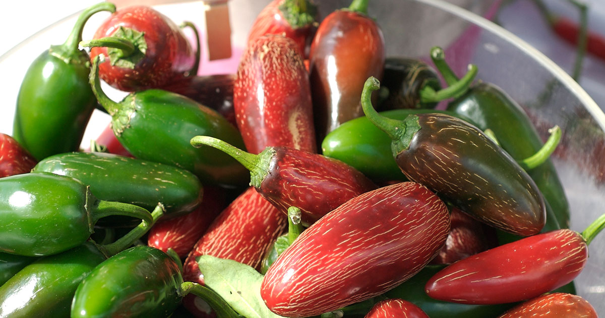 bowl of hot peppers