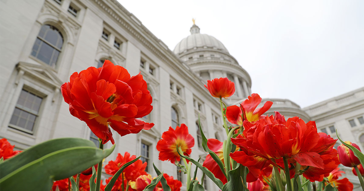 Wisconsin State Capitol and flowers