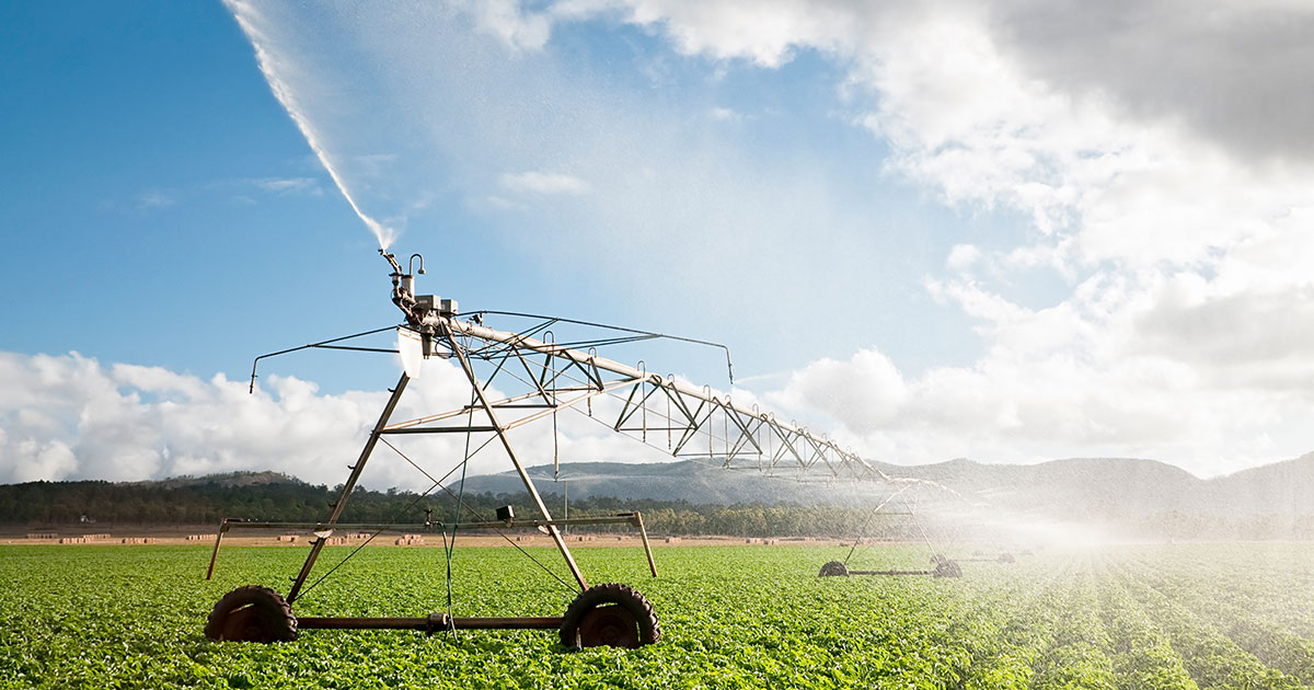 crop irrigation