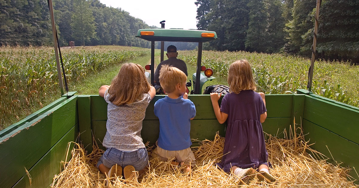 kids on hayride