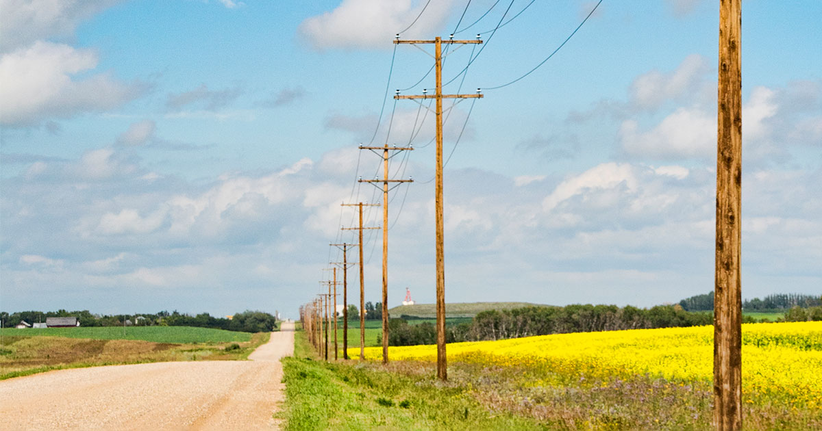 telephone poles alongside a rural road