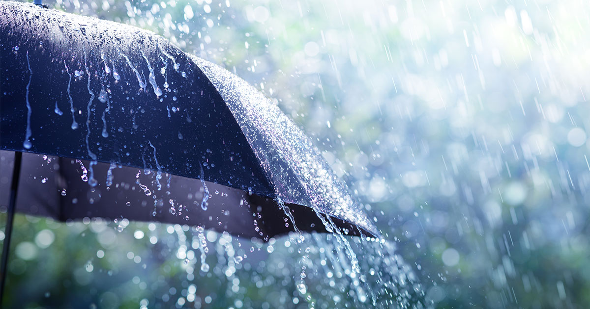 umbrella in a rainstorm