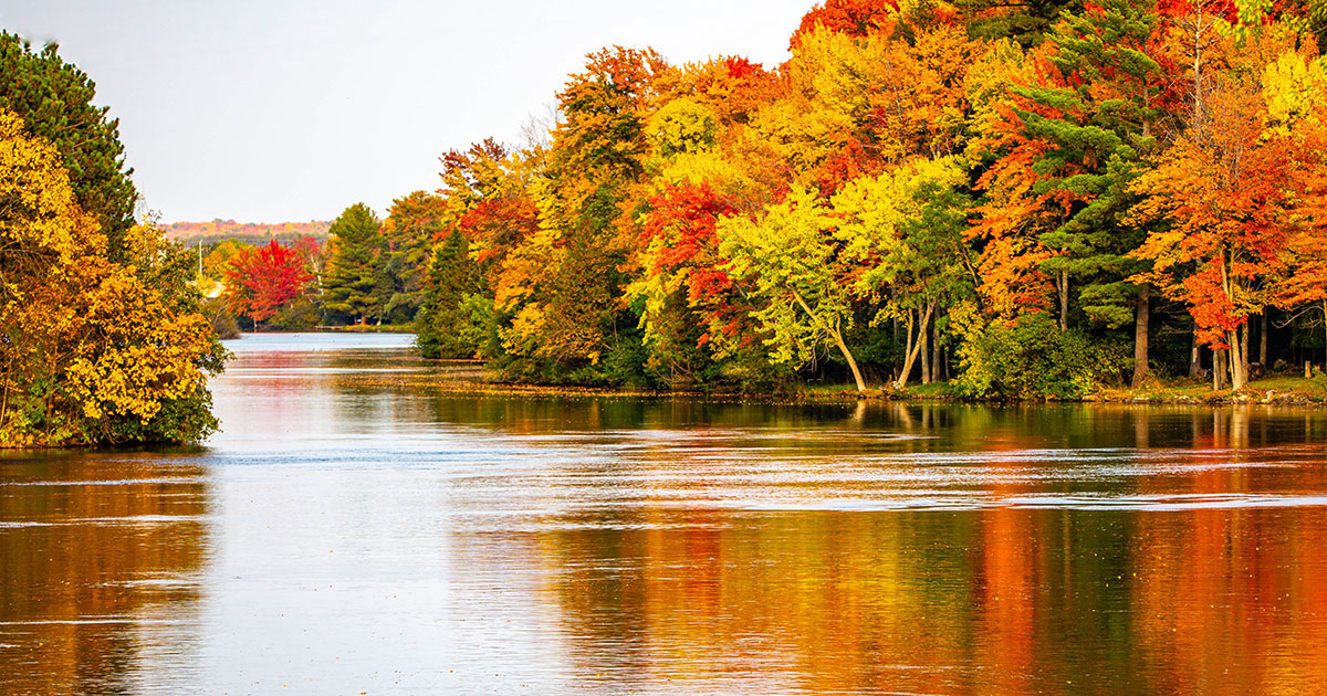 river bank with autumn colors on the tree leafs