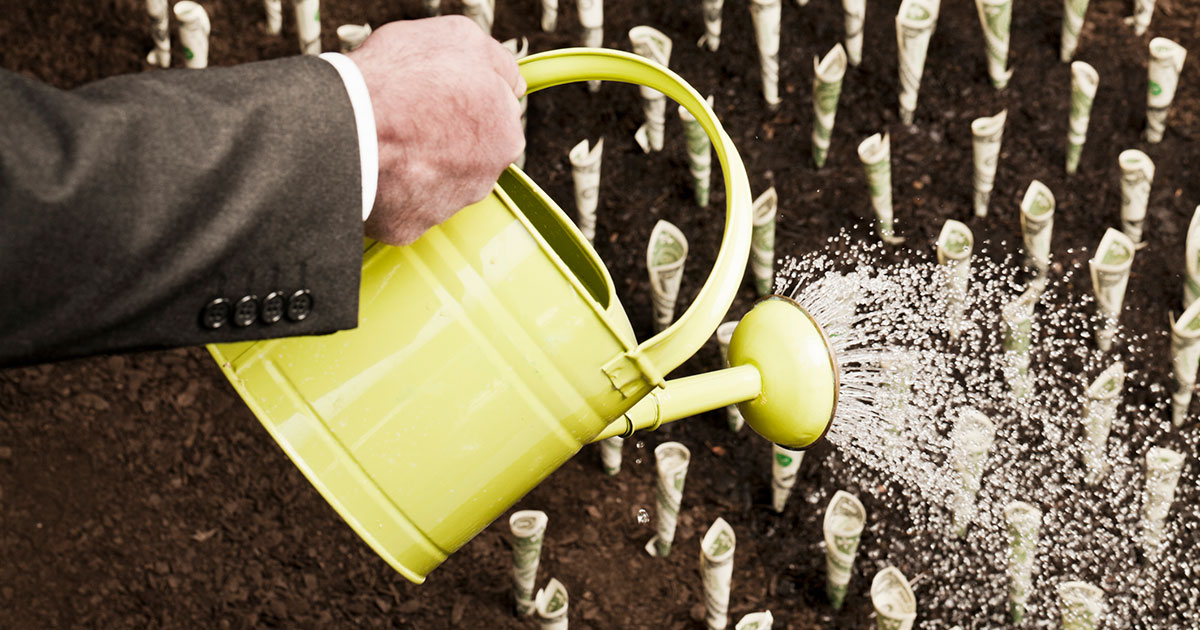 business person watering dollar plants