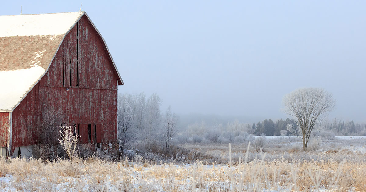 barn in winter landscape