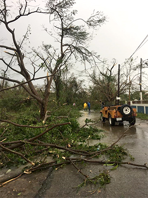 hurricane damage