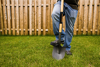 digging hole near fence