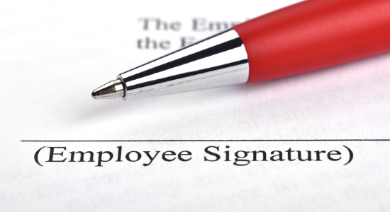 Employment Contract