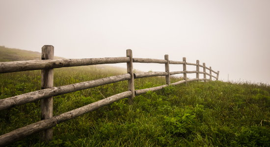 Fence Line