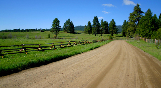 Fence Line