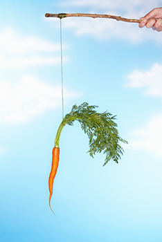 carrot and stick
