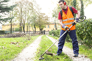 lawn care