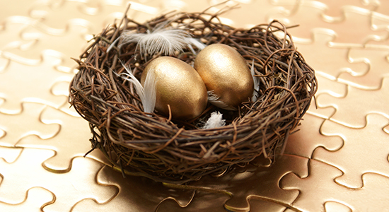 Nest Egg photo