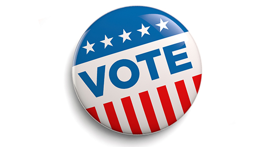 vote pin