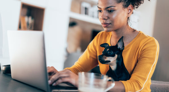 attorney working from home with dog on lap