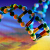 The New Genetic World and the Law
