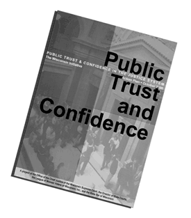 Public Trust and Confidence Report
