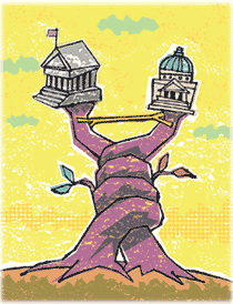 illustration: branches with govmt.   buildings