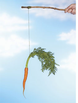Carrot and Stick