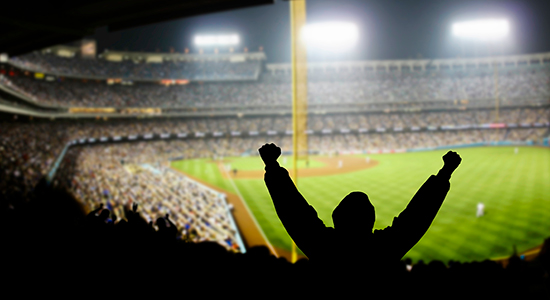 baseball fan