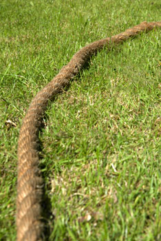 Rope laying on the grass